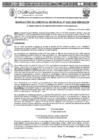 Vista preliminar de documento RGM 1187-2024