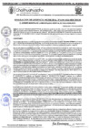 Vista preliminar de documento RGM 1190-2024