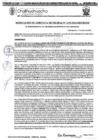 Vista preliminar de documento RGM 1195-2024