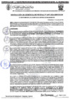 Vista preliminar de documento RGM 1197-2024