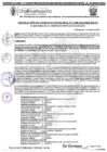 Vista preliminar de documento RGM 1208-2024