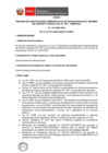 Vista preliminar de documento Bases del proceso