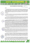 Vista preliminar de documento RADMIN 339 2024