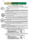 Vista preliminar de documento RGM-645-2024-GM-MPLC