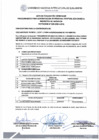 Vista preliminar de documento Resultados