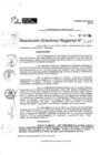 Vista preliminar de documento RDR 10180-2024
