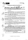 Vista preliminar de documento RDR 9963-2024