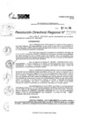 Vista preliminar de documento RDR 10181-2024