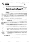 Vista preliminar de documento RDR 9971-2024