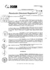 Vista preliminar de documento RDR 10183-2024