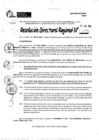 Vista preliminar de documento RDR 9976-2024