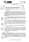 Vista preliminar de documento RDR 9979-2024