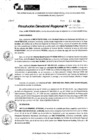 Vista preliminar de documento RDR 9980-2024