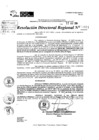 Vista preliminar de documento RDR 9981-2024