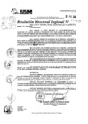 Vista preliminar de documento RDR 10187-2024