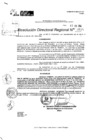 Vista preliminar de documento RDR 9985-2024