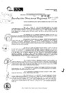 Vista preliminar de documento RDR 10189-2024