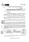 Vista preliminar de documento RDR 9988-2024