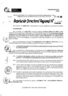 Vista preliminar de documento RDR 9989-2024