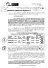 Vista preliminar de documento RDR 9997-2024