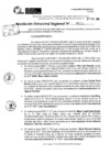 Vista preliminar de documento RDR 9998-2024