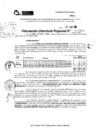 Vista preliminar de documento RDR 10195-2024