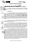 Vista preliminar de documento RDR 10015-2024