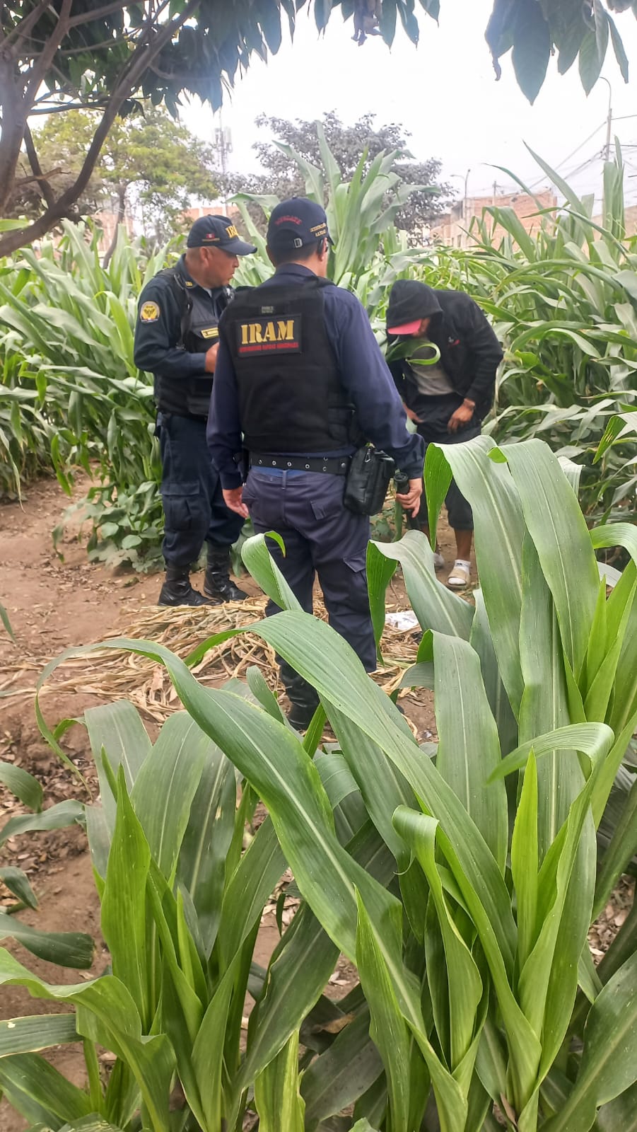 Seguridad Ciudadana retira a sujetos que consumían sustancias tóxicas y licor en espacios públicos