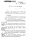 Vista preliminar de documento R.D.N.196-2022-INSN-DG MAPRO CIEI
