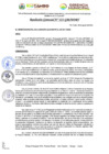 Vista preliminar de documento RESOLUCION GERENCIAL Nº 225