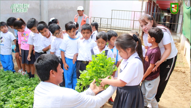 Foto Alumnos cosechan culantro el biohuerto escolar