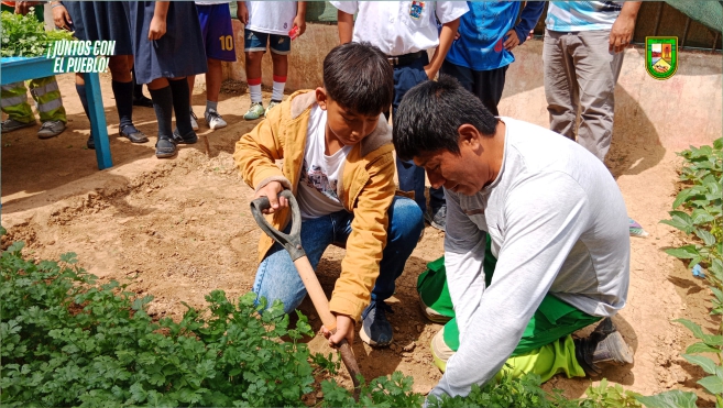 Foto Alumnos cosechan culantro el biohuerto escolar