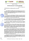 Vista preliminar de documento RESOLUCION GERENCIAL Nº 230