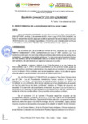 Vista preliminar de documento RESOLUCION GERENCIAL Nº 232