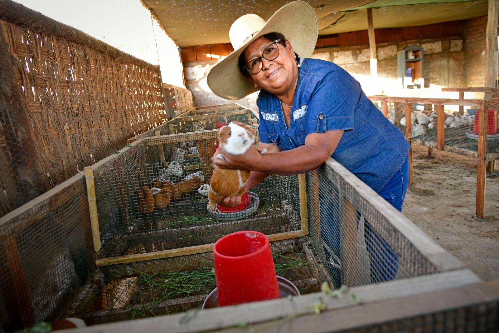 AGRO RURAL