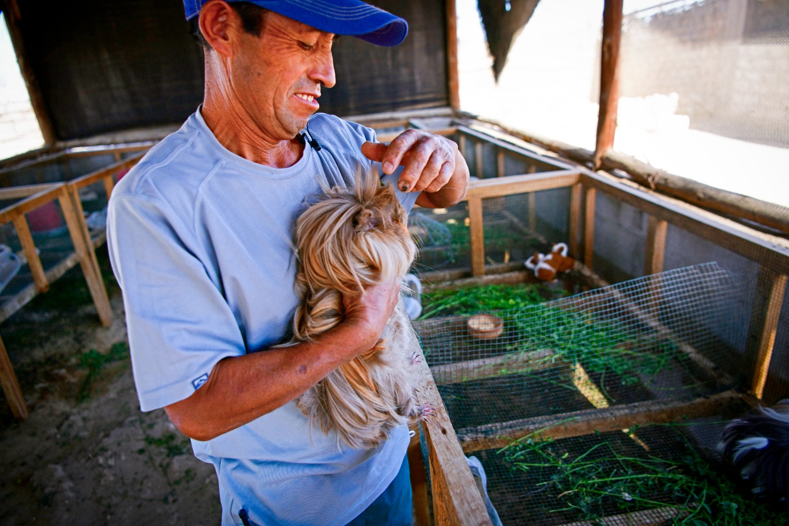 AGRO RURAL