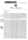 Vista preliminar de documento RD 212 DG 2024
