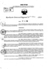 Vista preliminar de documento RDR 9183-2024