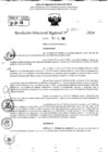 Vista preliminar de documento RDR 9185-2024