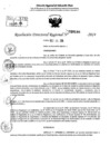Vista preliminar de documento RDR 9186-2024