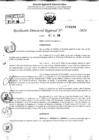Vista preliminar de documento RDR 9188-2024