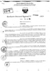 Vista preliminar de documento RDR 9189-2024
