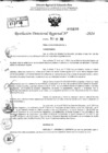 Vista preliminar de documento RDR 9190-2024