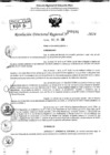 Vista preliminar de documento RDR 9191-2024