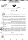 Vista preliminar de documento RDR 9192-2024