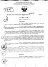 Vista preliminar de documento RDR 9193-2024
