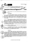 Vista preliminar de documento RDR 9195-2024