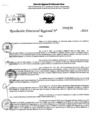 Vista preliminar de documento RDR 9196-2024