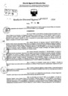 Vista preliminar de documento RDR 9197-2024