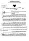 Vista preliminar de documento RDR 9198-2024